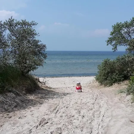 Am Pool Und 11 * Barendorf (Mecklenburg-Vorpommern)