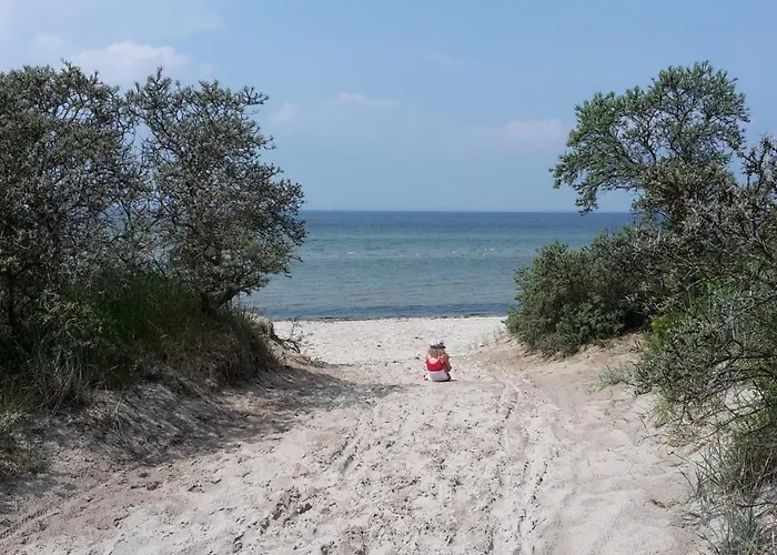 Am Pool Und 11 * Barendorf (Mecklenburg-Vorpommern)